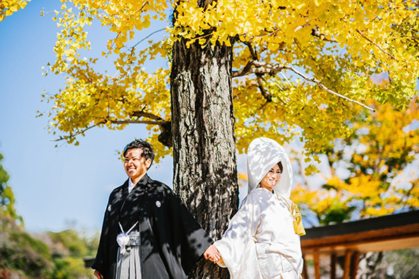 静岡市・富士市・沼津市の結婚式プロデュースと無料式場紹介の「はなといろ」の和婚の写真・山中湖の大銀杏の前でロケフォト